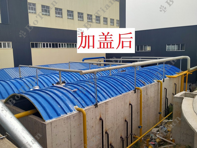 &#66;&#20307;&#32946;&#65288;&#66;&#83;&#112;&#111;&#114;&#116;&#115;&#65289;&#23448;&#26041;&#32593;&#31449;
